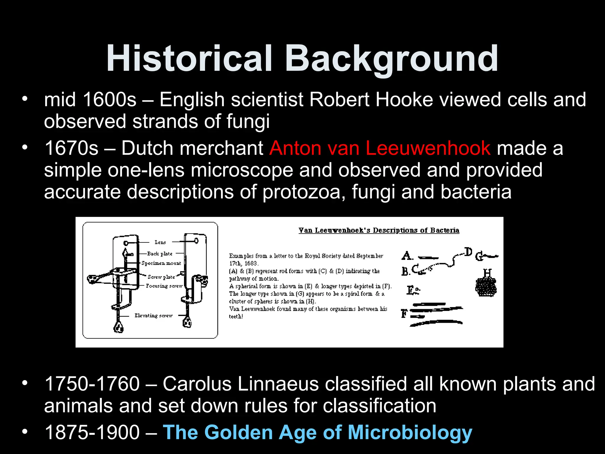 Historical Background
• mid 1600s – English scientist Robert Hooke viewed cells and
observed strands of fungi
• 1670s – Dutch merchant Anton van Leeuwenhook made a
simple one-lens microscope and observed and provided
accurate descriptions of protozoa, fungi and bacteria
• 1750-1760 – Carolus Linnaeus classified all known plants and
animals and set down rules for classification
• 1875-1900 – The Golden Age of Microbiology
 