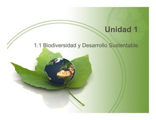 Unidad 1
1.1 Biodiversidad y Desarrollo Sustentable
 