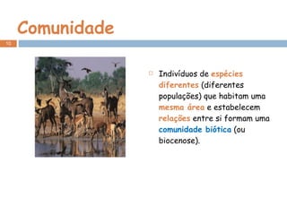 Comunidade Indivíduos de  espécies diferentes  (diferentes populações) que habitam uma  mesma área  e estabelecem  relações  entre si formam uma  comunidade biótica   (ou biocenose). 