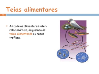 Teias alimentares As cadeias alimentares inter-relacionam-se, originando as  teias alimentares  ou redes tróficas. 