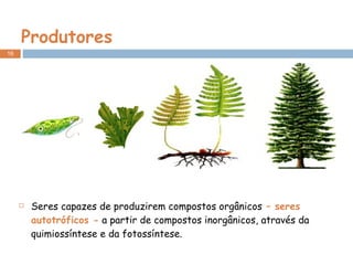 Produtores Seres capazes de produzirem compostos orgânicos  – seres autotróficos -  a partir de compostos inorgânicos, através da quimiossíntese e da fotossíntese. 