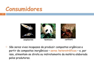Consumidores São seres vivos incapazes de produzir compostos orgânicos a partir de compostos inorgânicos –  seres heterotróficos  – e, por isso, alimentam-se direta ou indiretamente da matéria elaborada pelos produtores. 