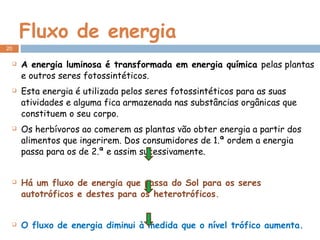 Fluxo de energia A energia luminosa é transformada em energia química  pelas plantas e outros seres fotossintéticos.  Esta energia é utilizada pelos seres fotossintéticos para as suas atividades e alguma fica armazenada nas substâncias orgânicas que constituem o seu corpo.  Os herbívoros ao comerem as plantas vão obter energia a partir dos alimentos que ingerirem. Dos consumidores de 1.ª ordem a energia passa para os de 2.ª e assim sucessivamente.  Há um fluxo de energia que passa do Sol para os seres autotróficos e destes para os heterotróficos . O fluxo de energia diminui à medida que o nível trófico aumenta. O fluxo de energia é unidirecional 