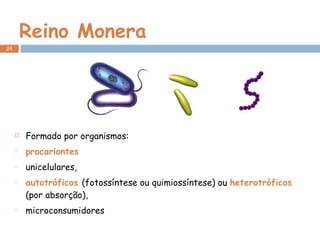 Reino Monera Formado por organismos: procariontes   unicelulares,  autotróficos  (fotossíntese ou quimiossíntese) ou  heterotróficos  (por absorção),  microconsumidores 