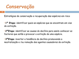 Conservação Estratégias de conservação e recuperação das espécies em risco 1ª Etapa : identificar quais as espécies que se encontram em vias de extinção. 2ªEtapa : identificar as causas do declínio para assim conhecer os factores que estão a provocar a extinção de uma espécie. 3ªEtapa : inverter a tendência do declínio promovendo a neutralização e /ou remoção dos agentes causadores de extinção. 
