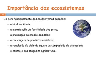 Importância dos ecossistemas Do bom funcionamento dos ecossistemas depende: a biodiversidade; a manutenção da fertilidade dos solos; a prevenção da erosão dos solos; a reciclagem de produtos residuais; a regulação do ciclo da água e da composição da atmosfera; o controlo das pragas na agricultura… 