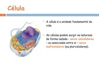 Célula A célula é a unidade fundamental da vida. As células podem surgir na natureza de forma isolada -  seres unicelulares  – ou associadas entre si –  seres multicelulares  (ou pluricelulares). 