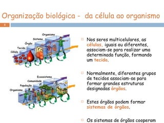 Organização biológica -  da célula ao organismo Nos seres multicelulares, as  células,  iguais ou diferentes, associam-se para realizar uma determinada função, formando um  tecido .  Normalmente, diferentes grupos de tecidos associam-se para formar grandes estruturas designadas  órgãos . Estes órgãos podem formar  sistemas de órgãos . Os sistemas de órgãos cooperam na formação de  organismos . 