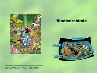 Biodiversidade
Ciências Naturais – 7º ano - 2007 /2008
 