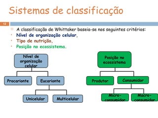 Sistemas de classificação
 A classificação de Whittaker baseia-se nos seguintes critérios:
 Nível de organização celular,
 Tipo de nutrição,
 Posição no ecossistema.
12
Nível de
organização
celular
Procarionte Eucarionte
Unicelular Multicelular
Posição no
ecossistema
Produtor Consumidor
Micro-
consumidor
Macro-
consumidor
 