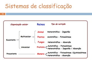 Sistemas de classificação
14
 