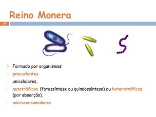Reino Monera
 Formado por organismos:
o procariontes
o unicelulares,
o autotróficos (fotossíntese ou quimiossíntese) ou heterotróficos
(por absorção),
o microconsumidores
15
 