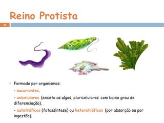 Reino Protista
 Formado por organismos:
- eucariontes,
- unicelulares (exceto as algas, pluricelulares com baixo grau de
diferenciação),
- autotróficos (fotossíntese) ou heterotróficos (por absorção ou por
ingestão).
16
 