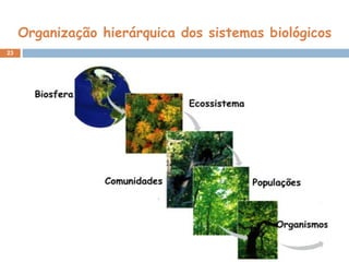 Organização hierárquica dos sistemas biológicos
23
 