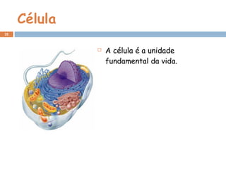 Célula
 A célula é a unidade
fundamental da vida.
25
 