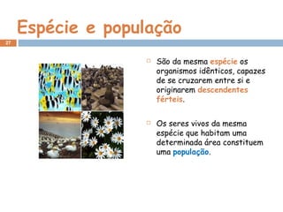 Espécie e população
 São da mesma espécie os
organismos idênticos, capazes
de se cruzarem entre si e
originarem descendentes
férteis.
 Os seres vivos da mesma
espécie que habitam uma
determinada área constituem
uma população.
27
 