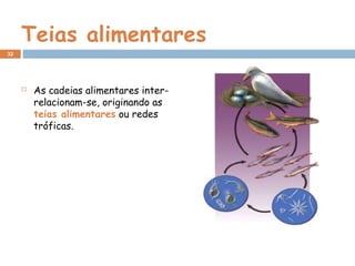 Teias alimentares
 As cadeias alimentares inter-
relacionam-se, originando as
teias alimentares ou redes
tróficas.
32
 