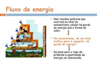 Fluxo de energia
 Nas reações químicas que
ocorrem ao nível do
metabolismo celular há perda
de energia sob a forma de
calor.
 No ecossistema, de um nível
trófico para o seguinte, há
perda de energia.
 Da base para o topo da
pirâmide a quantidade de
energia vai diminuindo.
39
 