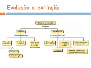 Evolução e extinção
44
 