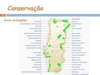Conservação
45
Áreas protegidas
 