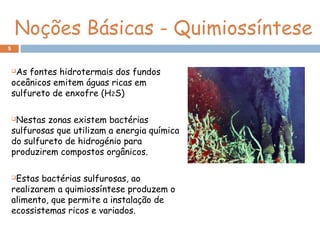 Noções Básicas - Quimiossíntese
5
As fontes hidrotermais dos fundos
oceânicos emitem águas ricas em
sulfureto de enxofre (H2S)
Nestas zonas existem bactérias
sulfurosas que utilizam a energia química
do sulfureto de hidrogénio para
produzirem compostos orgânicos.
Estas bactérias sulfurosas, ao
realizarem a quimiossíntese produzem o
alimento, que permite a instalação de
ecossistemas ricos e variados.
 
