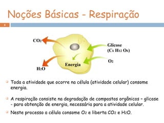Noções Básicas - Respiração
6
 Toda a atividade que ocorre na célula (atividade celular) consome
energia.
 A respiração consiste na degradação de compostos orgânicos – glicose
- para obtenção de energia, necessária para a atividade celular.
 Neste processo a célula consome O2 e liberta CO2 e H2O.
 