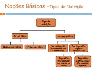 Noções Básicas –Tipos de Nutrição
7
Tipo de
nutrição
Autotrófico Heterotrófico
Quimiossintético Fotossintético Por absorção
(de micromoléculas
– monómeros)
Por ingestão
(digestão
intracorporal)
Digestão
intracelular
(no interior da
célula)
Digestão
extracelular
(Em cavidade
digestiva)
 