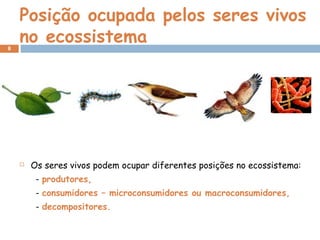 Posição ocupada pelos seres vivos
no ecossistema
 Os seres vivos podem ocupar diferentes posições no ecossistema:
- produtores,
- consumidores – microconsumidores ou macroconsumidores,
- decompositores.
8
 