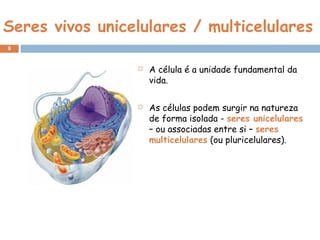 Seres vivos unicelulares / multicelulares
 A célula é a unidade fundamental da
vida.
 As células podem surgir na natureza
de forma isolada - seres unicelulares
– ou associadas entre si – seres
multicelulares (ou pluricelulares).
9
 