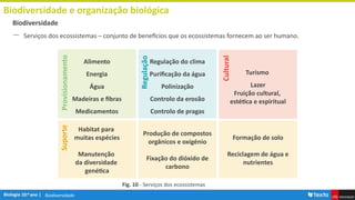 Biodiversidade
Biodiversidade e organização biológica
― Serviços dos ecossistemas – conjunto de benefícios que os ecossistemas fornecem ao ser humano.
Biodiversidade
Fig. 10 - Serviços dos ecossistemas
Alimento
Energia
Água
Madeiras e fibras
Medicamentos
Habitat para
muitas espécies
Manutenção
da diversidade
genética
Regulação do clima
Purificação da água
Polinização
Controlo da erosão
Controlo de pragas
Turismo
Lazer
Fruição cultural,
estética e espiritual
Produção de compostos
orgânicos e oxigénio
Fixação do dióxido de
carbono
Formação de solo
Reciclagem de água e
nutrientes
Provisionamento
Regulação
Cultural
Suporte
 