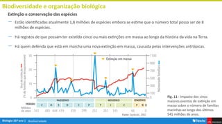 Biodiversidade
Biodiversidade e organização biológica
― Estão identificadas atualmente 1,8 milhões de espécies embora se estime que o número total possa ser de 8
milhões de espécies.
― Há registos de que possam ter existido cinco ou mais extinções em massa ao longo da história da vida na Terra.
― Há quem defenda que está em marcha uma nova extinção em massa, causada pelas intervenções antrópicas.
Extinção e conservação das espécies
Fig. 11 - Impacto dos cinco
maiores eventos de extinção em
massa sobre o número de famílias
marinhas ao longo dos últimos
541 milhões de anos.
 