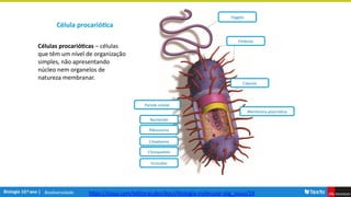 Biodiversidade
Célula procariótica
Células procarióticas – células
que têm um nível de organização
simples, não apresentando
núcleo nem organelos de
natureza membranar.
Fímbrias
Flagelo
Cápsula
Membrana plasmática
Parede celular
Nucleoide
Ribossoma
Citoplasma
Inclusões
Citosqueleto
https://issuu.com/editoracubo/docs/biologia-molecular-sbg_issuu/19
 
