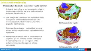 Biodiversidade
Células e Biomoléculas
― A ultraestrutura refere-se aos componentes celulares
de dimensões reduzidas que só se podem visualizar
ao microscópio eletrónico.
― Com exceção dos centríolos e dos ribossomas, todos
os organelos celulares são delimitados por uma
membrana semelhante à membrana plasmática –
organelos membranares.
― Sistema endomembranar – continuidade funcional
entre o retículo endoplasmático, complexo de Golgi e
lisossomas.
― As diferenças essenciais entre as células animais e
vegetais é que nas primeiras existem centríolos e
lisossomas enquanto que nas vegetais estão
exclusivamente presentes a parede célula e
cloroplastos.
Ultraestrutura das células eucarióticas vegetal e animal
Célula eucariótica vegetal
Célula eucariótica animal
 
