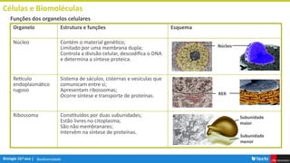 Biodiversidade
Células e Biomoléculas
Funções dos organelos celulares
Organelo Estrutura e funções Esquema
Núcleo Contém o material genético;
Limitado por uma membrana dupla;
Controla a divisão celular, descodifica o DNA
e determina a síntese proteica.
Reticulo
endoplasmático
rugoso
Sistema de sáculos, cisternas e vesículas que
comunicam entre si;
Apresentam ribossomas;
Ocorre síntese e transporte de proteínas.
Ribossoma Constituídos por duas subunidades;
Estão livres no citoplasma;
São não membranares;
Intervêm na síntese de proteínas.
Núcleo
RER
Subunidade
maior
Subunidade
menor
 
