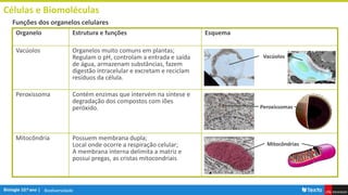 Biodiversidade
Células e Biomoléculas
Funções dos organelos celulares
Organelo Estrutura e funções Esquema
Vacúolos Organelos muito comuns em plantas;
Regulam o pH, controlam a entrada e saída
de água, armazenam substâncias, fazem
digestão intracelular e excretam e reciclam
resíduos da célula.
Peroxissoma Contém enzimas que intervém na síntese e
degradação dos compostos com iões
peróxido.
Mitocôndria Possuem membrana dupla;
Local onde ocorre a respiração celular;
A membrana interna delimita a matriz e
possui pregas, as cristas mitocondriais
Vacúolos
Peroxissomas
Mitocôndrias
 