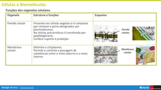 Biodiversidade
Células e Biomoléculas
Funções dos organelos celulares
Organelo Estrutura e funções Esquema
Parede celular Presente nas células vegetais e é composta
por celulose e poros designados por
plasmodesmos;
Na células procarióticas é constituída por
peptidoglicano;
Confere suporte e proteção.
Membrana
celular
Delimita o citoplasma;
Permite e controla a passagem de
substâncias entre o meio externo e o meio
interno.
Membrana
celular
Parede
celular
 