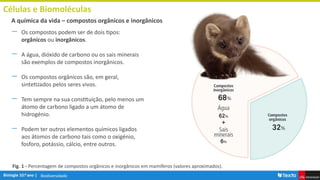 Biodiversidade
Células e Biomoléculas
― Os compostos podem ser de dois tipos:
orgânicos ou inorgânicos.
― A água, dióxido de carbono ou os sais minerais
são exemplos de compostos inorgânicos.
― Os compostos orgânicos são, em geral,
sintetizados pelos seres vivos.
― Tem sempre na sua constituição, pelo menos um
átomo de carbono ligado a um átomo de
hidrogénio.
― Podem ter outros elementos químicos ligados
aos átomos de carbono tais como o oxigénio,
fosforo, potássio, cálcio, entre outros.
A química da vida – compostos orgânicos e inorgânicos
Fig. 1 - Percentagem de compostos orgânicos e inorgânicos em mamíferos (valores aproximados).
 