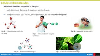 Biodiversidade
Células e Biomoléculas
― Mais de metade da massa de qualquer ser vivo é agua.
― A importância da água resulta, em larga medida, de ser uma molécula polar.
A química da vida – importância da água.
+ +
Fig. 2 – Polaridade da molécula
de água. Fig. 3 – Intervenção em reações
químicas.
Fig. 4 – Regulação temperatura.
Fig. 5 – Poder solvente da água. Fig. 6 – Coesão da molécula de água.
 