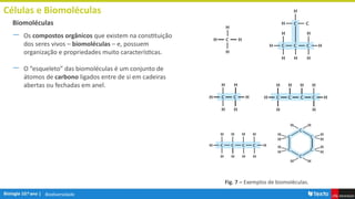 Biodiversidade
Células e Biomoléculas
― Os compostos orgânicos que existem na constituição
dos seres vivos – biomoléculas – e, possuem
organização e propriedades muito características.
― O “esqueleto” das biomoléculas é um conjunto de
átomos de carbono ligados entre de si em cadeiras
abertas ou fechadas em anel.
Biomoléculas
Fig. 7 – Exemplos de biomoléculas.
 