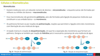 Biodiversidade
Células e Biomoléculas
― Existem moléculas com um reduzido número de átomos – micromoléculas – enquanto outras são formadas por
milhares ou milhões de átomos – macromoléculas.
― Essa macromoléculas são geralmente polímeros, pois são formadas pela ligação de pequenas moléculas que
constituem a sua unidade básica – os monómeros.
― Os polímeros formam-se por reações de polimerização, reações que permitem a ligação entre dois monómeros
com libertação de uma molécula de água.
― A reação inversa é a reação de despolimerização, em que há a separação dos monómeros que formam um
polímero. Designa-se também por reação de hidrólise pois é necessária a presença de uma molécula de água.
Biomoléculas
Fig. 9 – Reação de despolimerização.
Fig. 8 – Reação de polimerização.
 