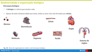 Biodiversidade
Biodiversidade e organização biológica
― A biologia é a ciência que estuda a vida.
― Apesar de toda a biodiversidade que existe, todos os seres vivos são formados por células.
Hierarquia biológica
Átomos
Molécula
Biomolécula
Organelo
Célula
Tecido
Órgão
Fig. 1B - Níveis de organização da matéria e de hierarquia biológica.
Sistema de
órgãos
 