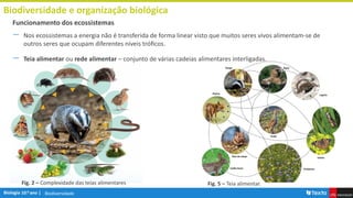 Biodiversidade
Biodiversidade e organização biológica
― Nos ecossistemas a energia não é transferida de forma linear visto que muitos seres vivos alimentam-se de
outros seres que ocupam diferentes níveis tróficos.
― Teia alimentar ou rede alimentar – conjunto de várias cadeias alimentares interligadas.
Funcionamento dos ecossistemas
Fig. 2 – Complexidade das teias alimentares Fig. 5 – Teia alimentar.
 