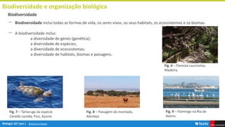 Biodiversidade
Biodiversidade e organização biológica
― Biodiversidade inclui todas as formas de vida, os seres vivos, os seus habitats, os ecossistemas e os biomas.
― A biodiversidade inclui:
a diversidade de genes (genética);
a diversidade de espécies;
a diversidade de ecossistemas;
a diversidade de habitats, biomas e paisagens.
Biodiversidade
Fig. 7 – Tartaruga da espécie
Caretta caretta, Pico, Açores
Fig. 6 – Floresta Laurissilva,
Madeira.
Fig. 8 – Paisagem do montado,
Alentejo
Fig. 9 – Flamingo na Ria de
Aveiro.
 