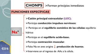 Chonps Bioelementos 1-bioelementos que pueden ser utilzados en enfermeria | PDF