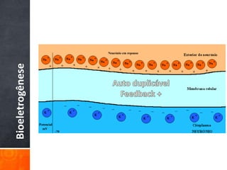 Bioeletrogênese
 
