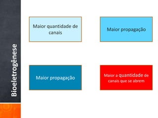 Bioeletrogênese
Maior quantidade de
canais
Maior propagação
Maior propagação
Maior a quantidade de
canais que se abrem
 