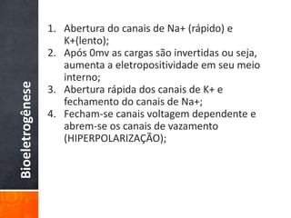 Bioeletrogênese 1. Abertura do canais de Na+ (rápido) e
K+(lento);
2. Após 0mv as cargas são invertidas ou seja,
aumenta a eletropositividade em seu meio
interno;
3. Abertura rápida dos canais de K+ e
fechamento do canais de Na+;
4. Fecham-se canais voltagem dependente e
abrem-se os canais de vazamento
(HIPERPOLARIZAÇÃO);
 