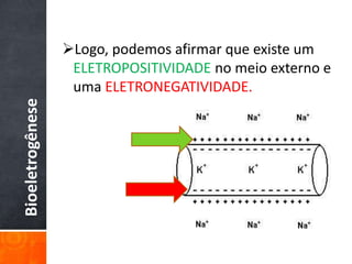 Bioeletrogênese
Logo, podemos afirmar que existe um
ELETROPOSITIVIDADE no meio externo e
uma ELETRONEGATIVIDADE.
 