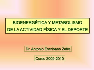 BIOENERGÉTICA Y METABOLISMO
DE LA ACTIVIDAD FÍSICA Y EL DEPORTE



        Dr. Antonio Escribano Zafra

             Curso 2009-2010
 
