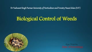 Dr Yashwant Singh Parmar University of Horticulture and Forestry Nauni Solan(H.P.)
Biological Control of Weeds
Ajay Sharma
(Dept. of Entomology)
 